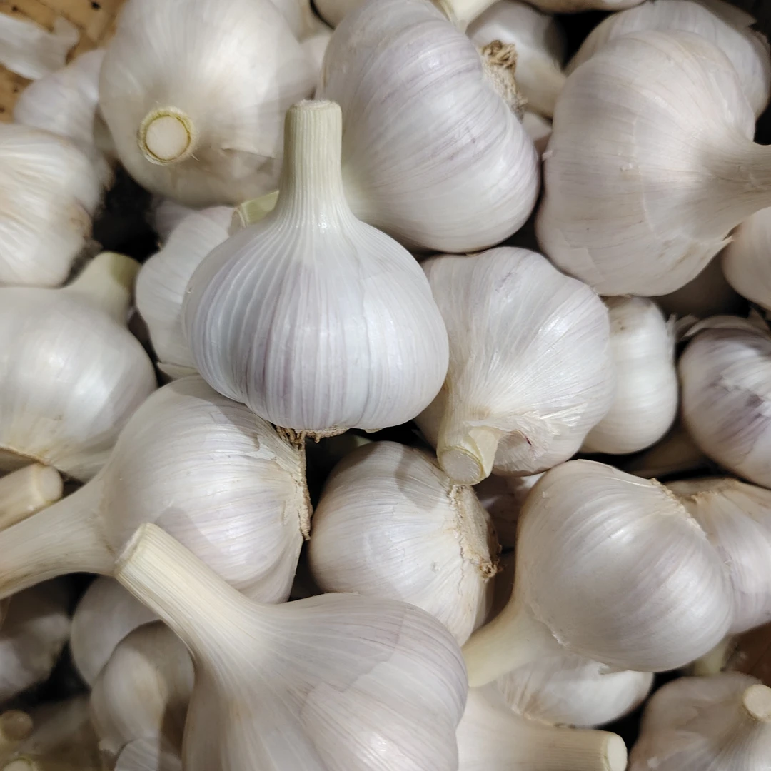苍山农家新干蒜四六瓣大蒜头