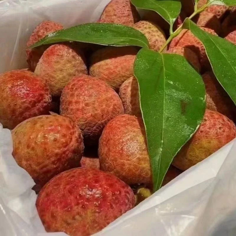 次日达顺丰京东头茬新鲜现摘海南桂花香荔枝老树大果整箱3斤包邮