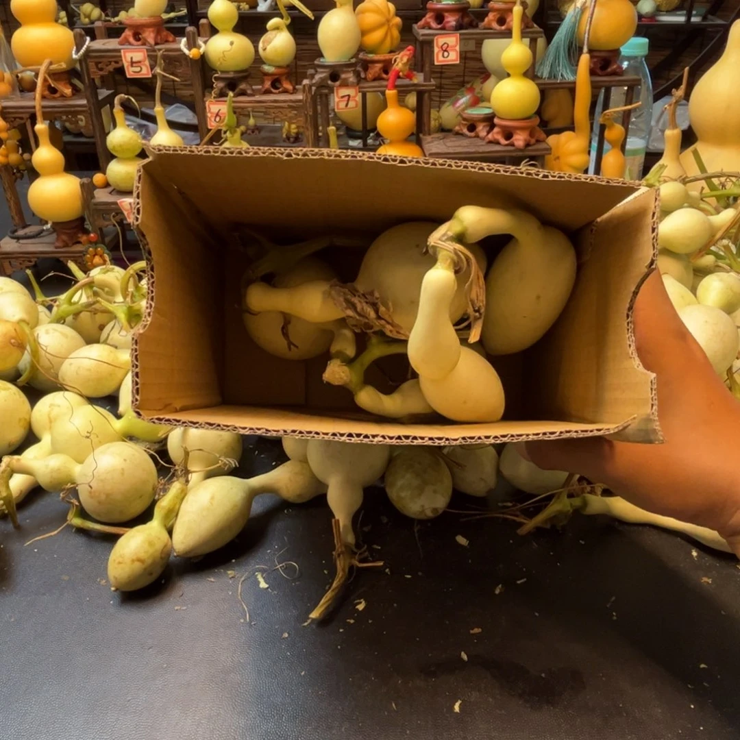 低****！啦啦啦啦啦啦啦啦啦啦啦啦