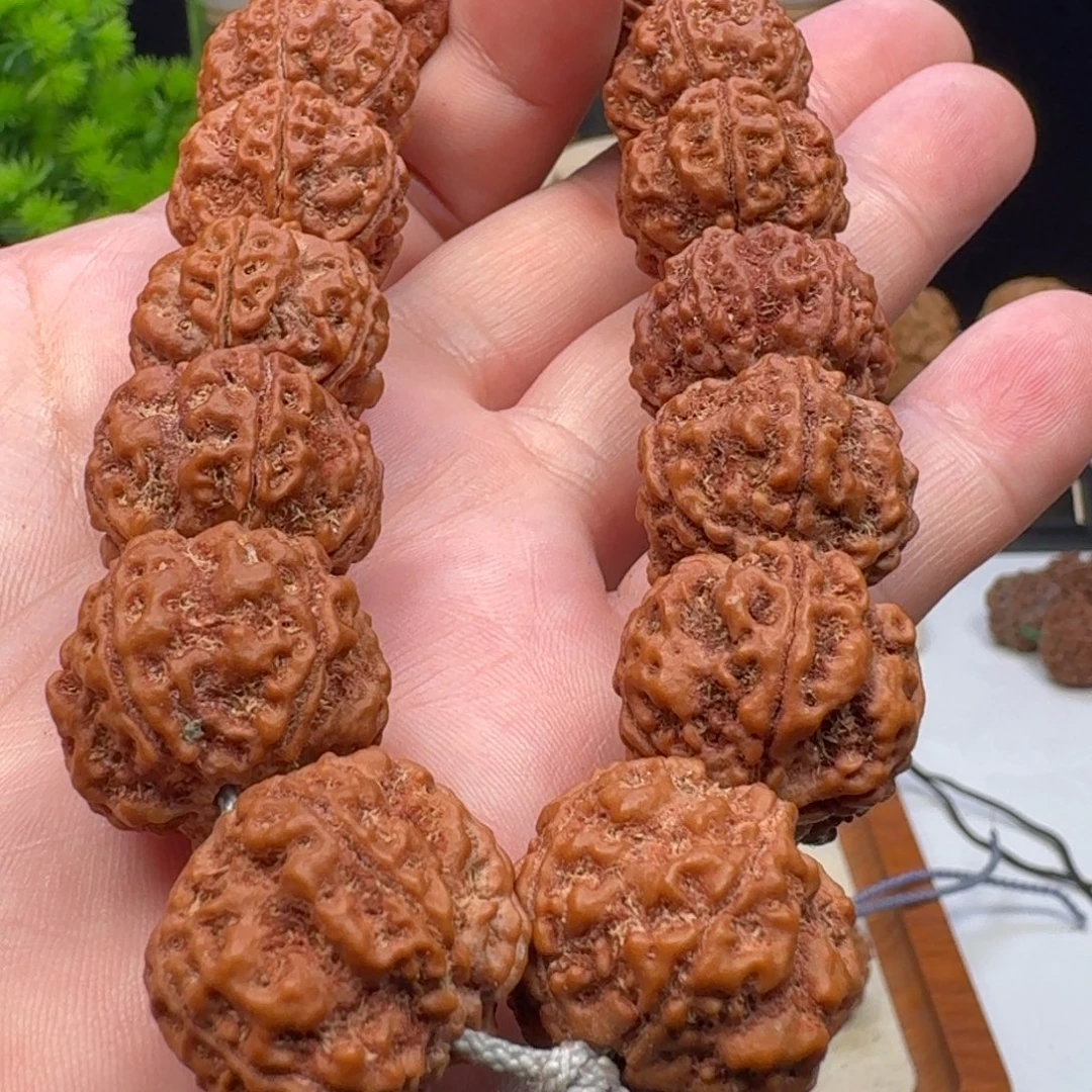 金刚菩提手串梁粗筋双龙