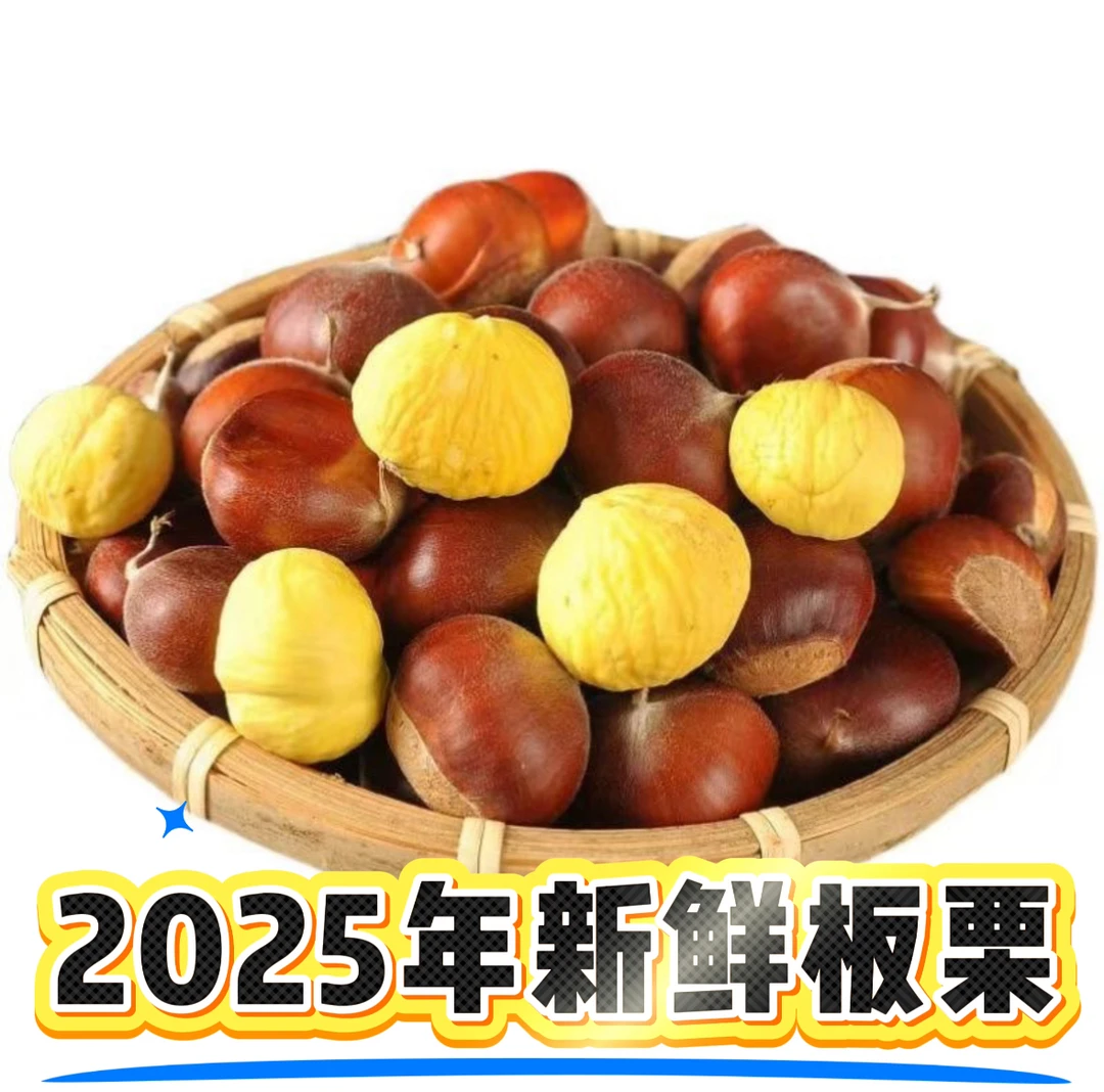 2025年云南高山老树板栗-新鲜板栗-坏果包赔-现摘现发
