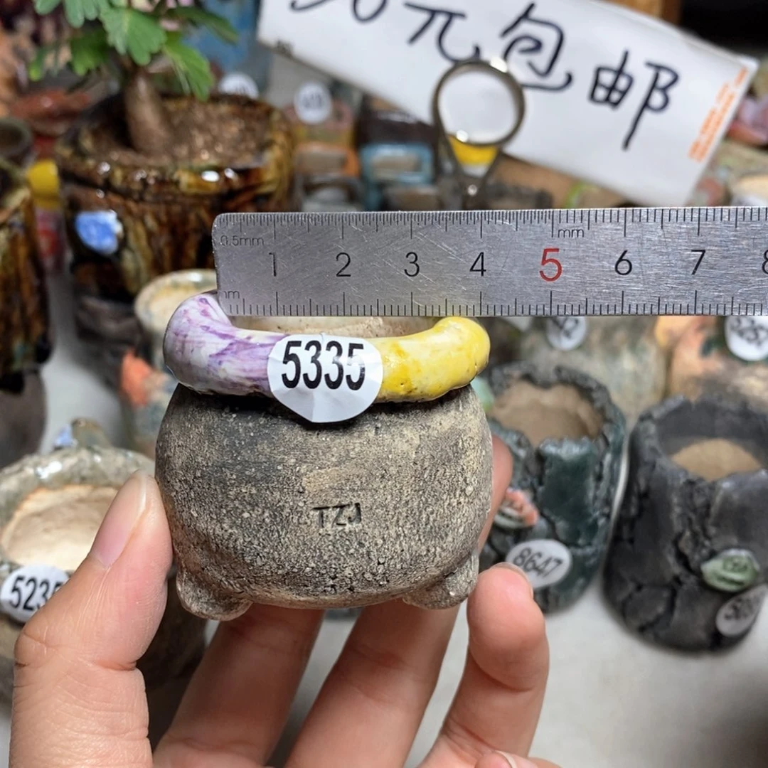 拍3送一个小礼物