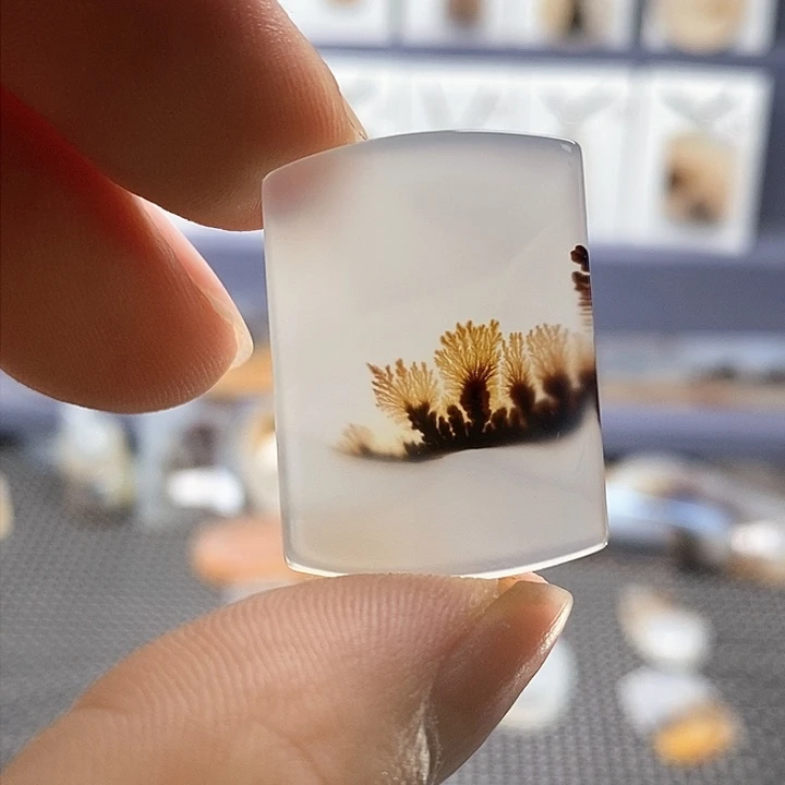 未镶嵌玛瑙/玉髓珠宝奇石木**九