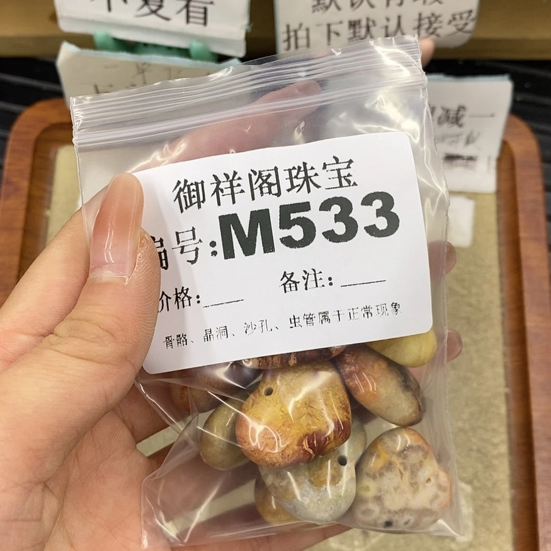 硅化珊瑚（珊瑚玉）未镶嵌颈饰?*?