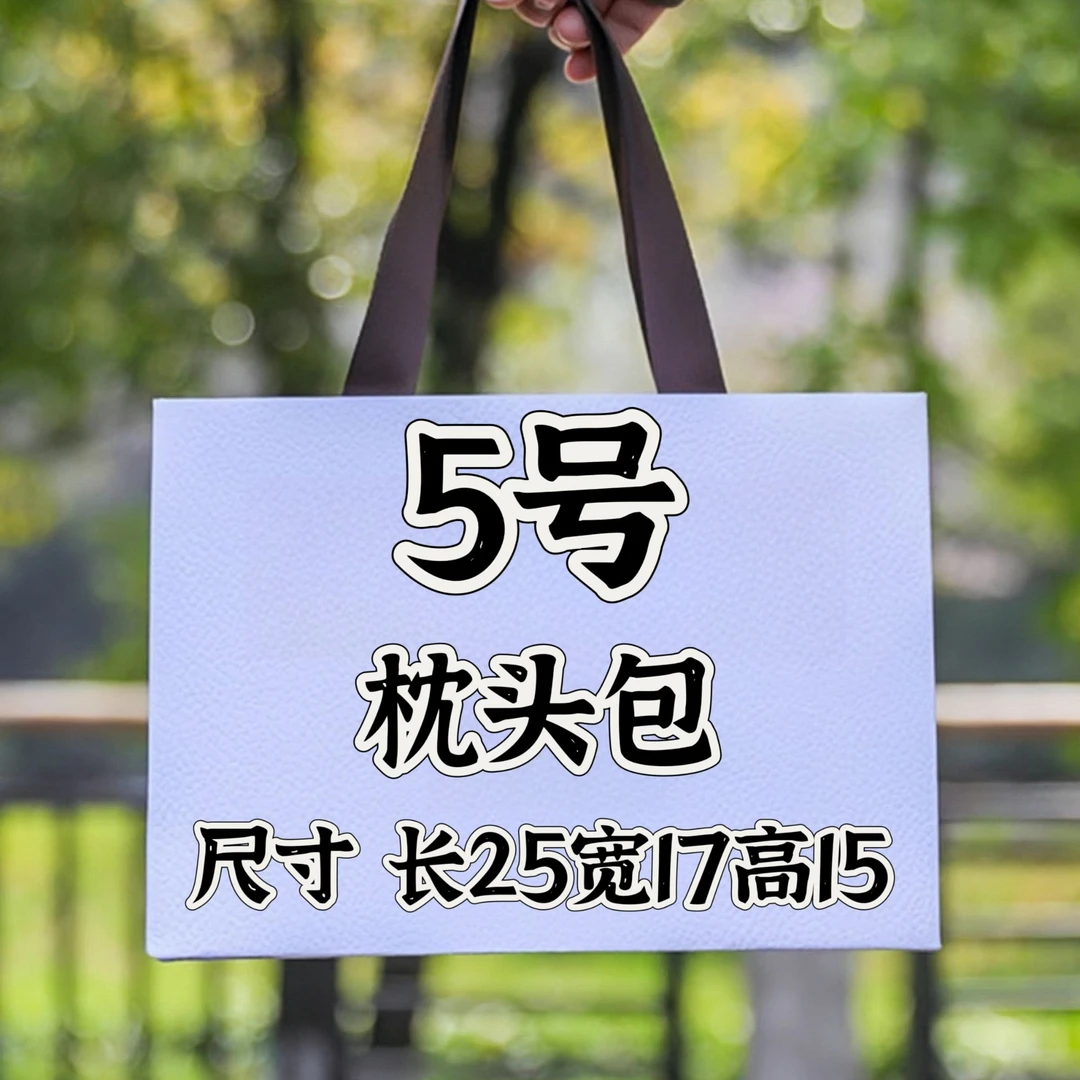 【5号】时尚百搭轻奢斜挎枕头包 8116