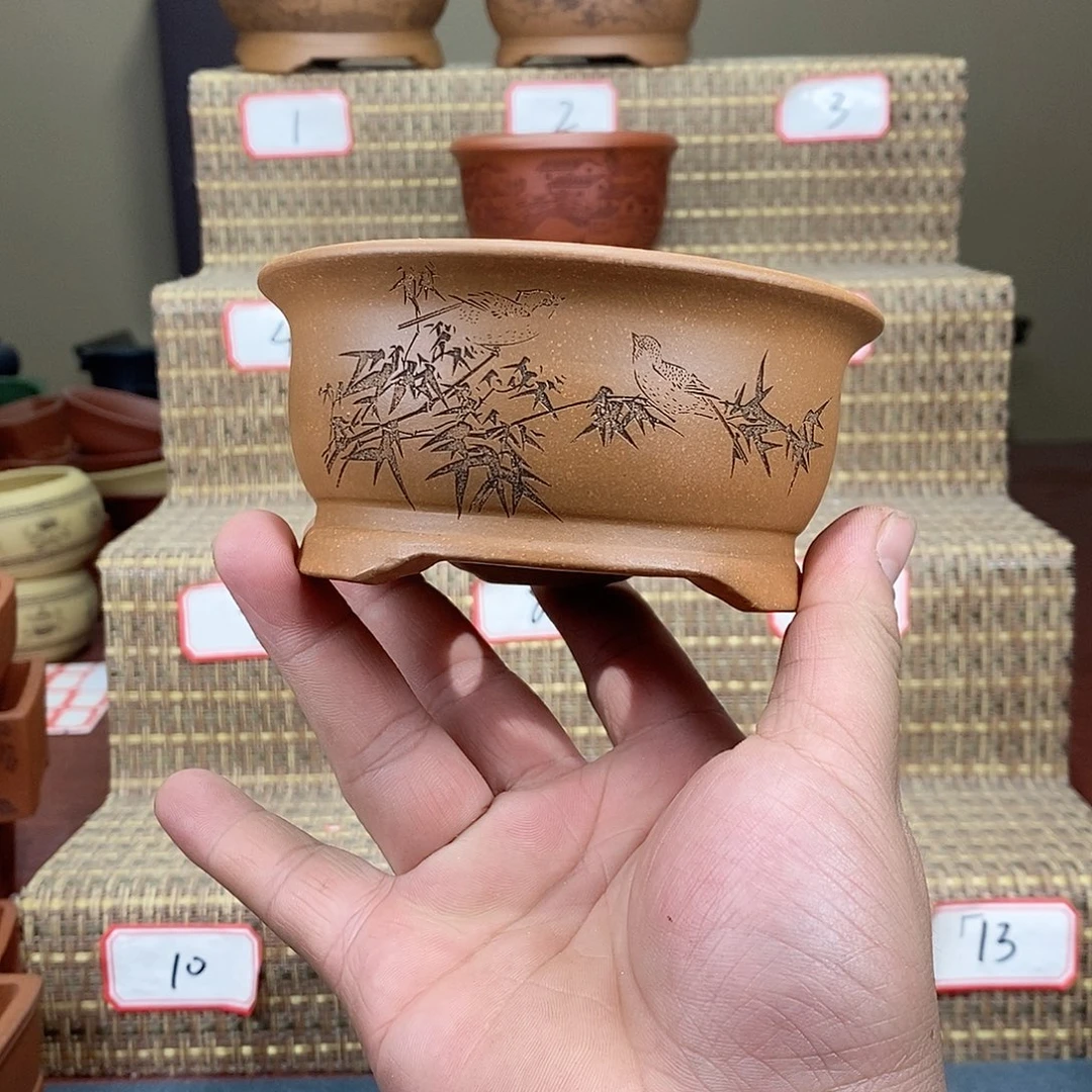 紫砂花盆我在等一