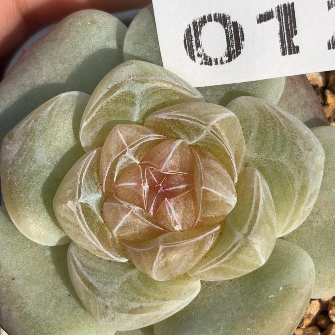 012的最后几个小时了我还是没