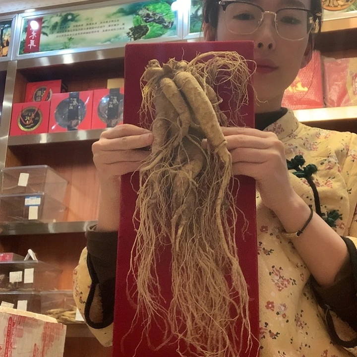 中国大陆七两瑕疵鲜参有水锈芽头也有瑕疵