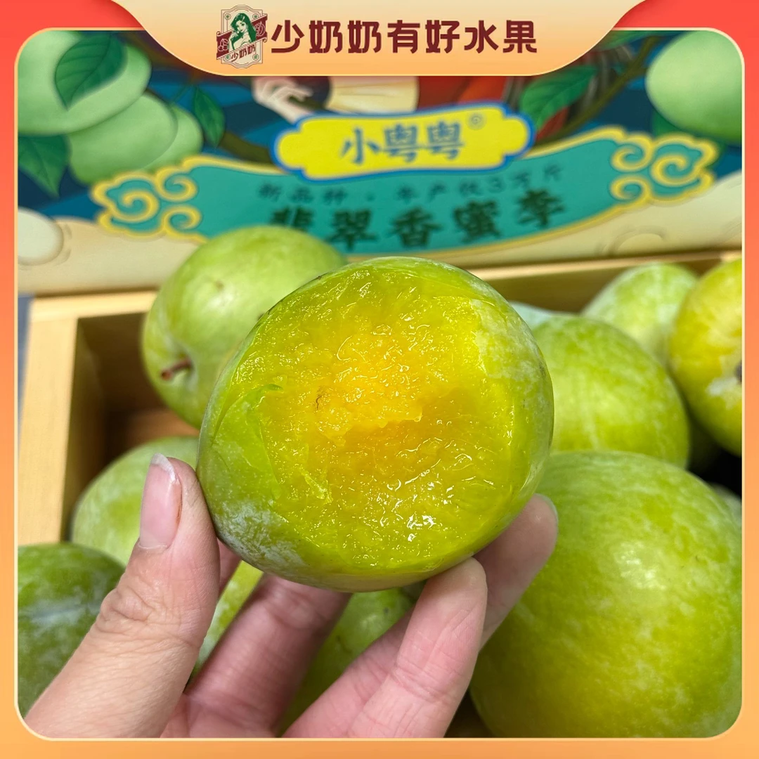 贵州翡翠奈李 脆甜多汁 当季水果【顺丰包邮+坏果包赔】