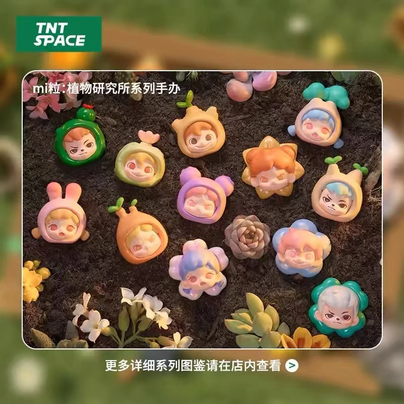 【拆盒】植物研究所mi粒系列盲盒