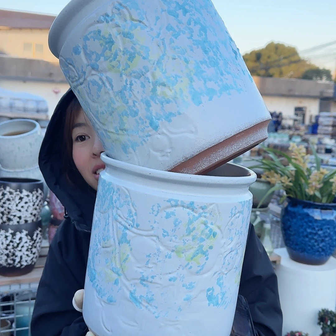 王嫂花盆直播1119-311高24口21