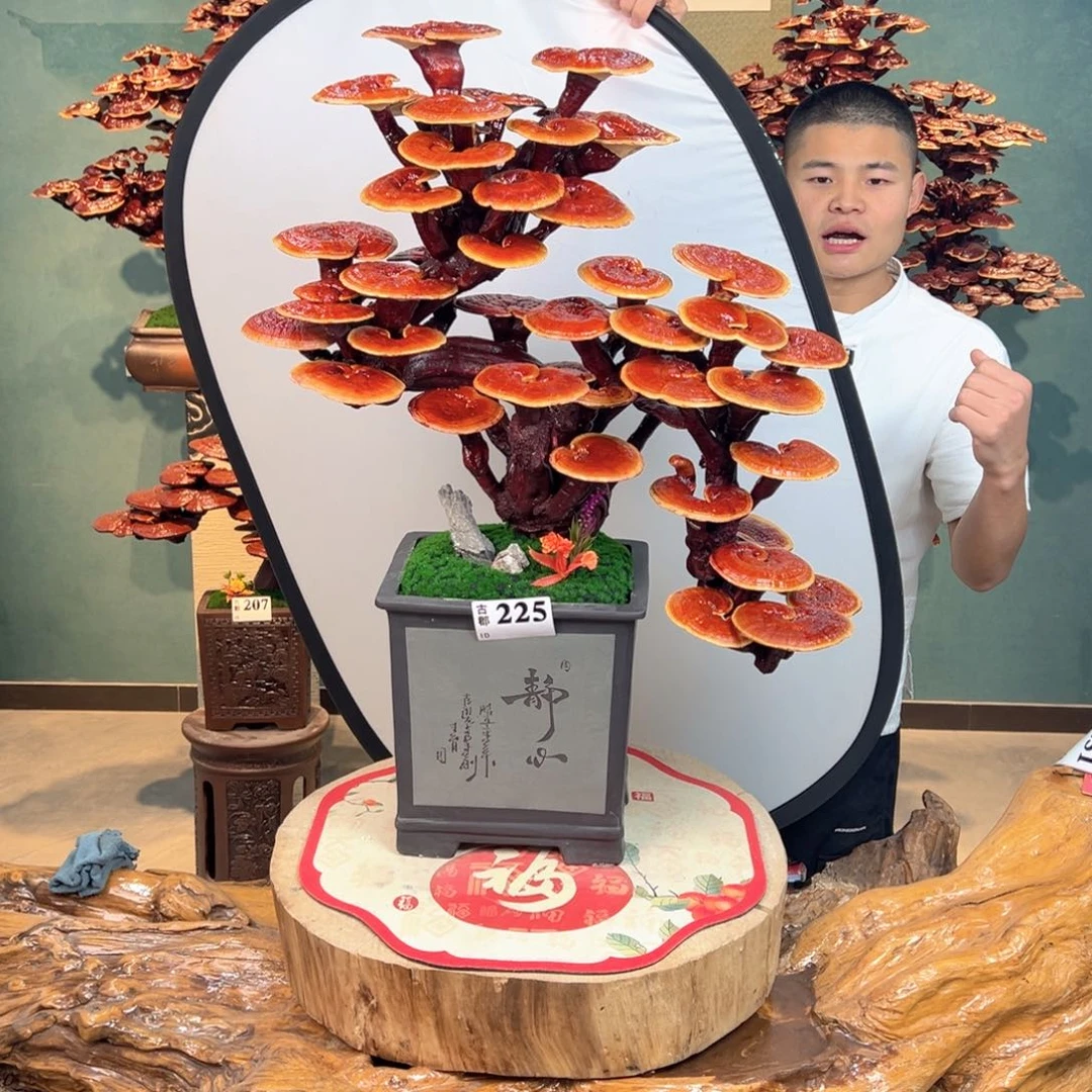 无花朵888888898888