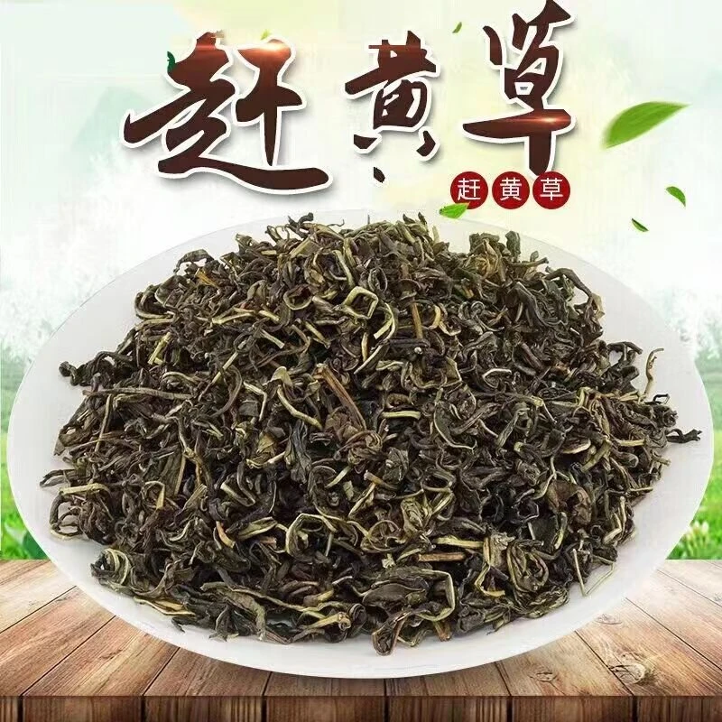 四川古蔺特产赶黄草头茬泡水100g-500g