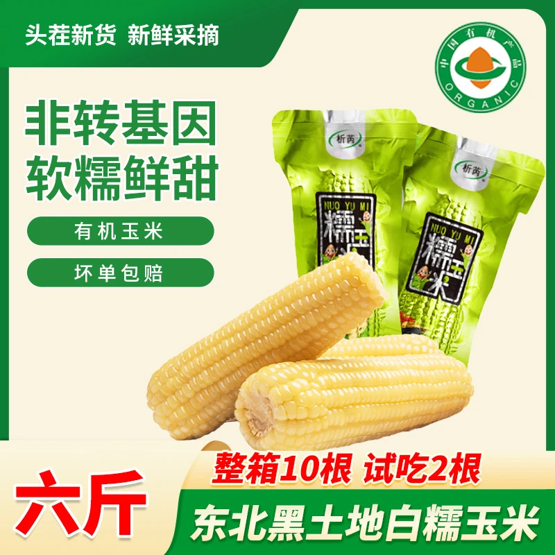 精品有机大白糯8根软嫩大棒多送2根试吃两根3kg/箱