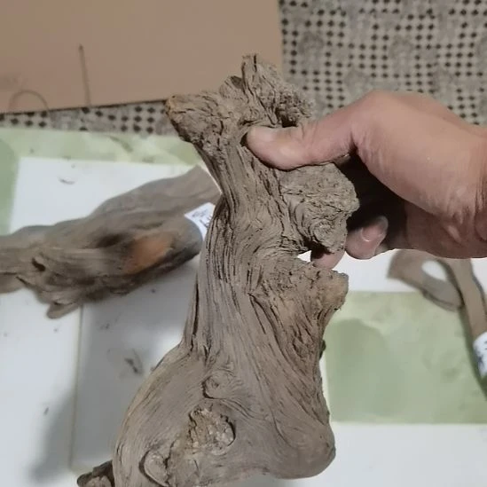 漫***者柏木（崖柏）崖柏摆件，，，，