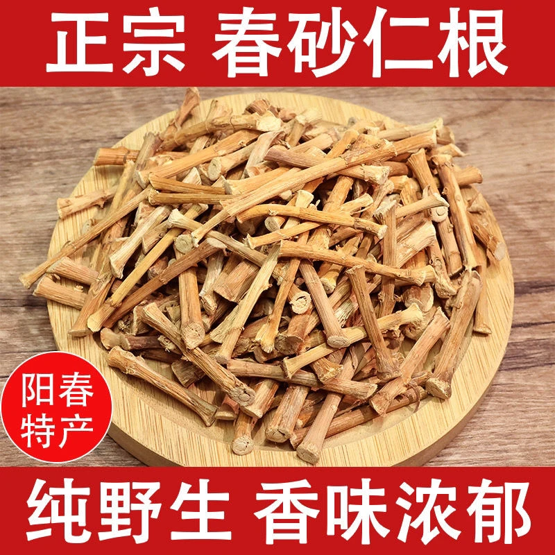 广东阳春砂仁根正宗春砂仁根干货农家自晒煲汤泡茶