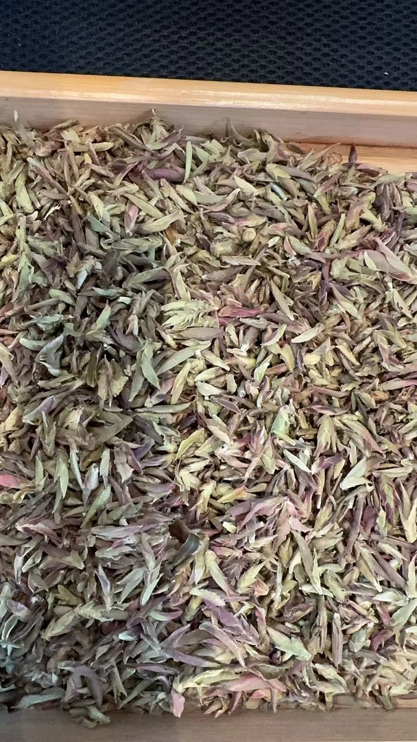 11月24日 250克 23年大雪山紫芽苞 白茶散茶 B-230