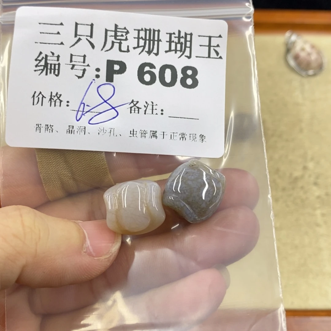 硅化珊瑚（珊瑚玉）1未镶嵌ʚ****ɞ