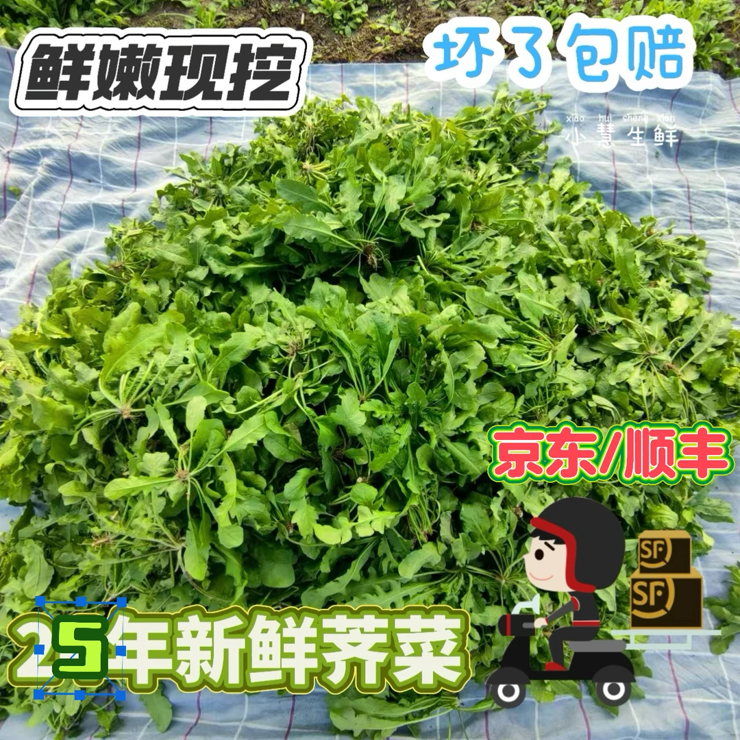 【京东】新鲜荠菜漏天生长新鲜现挖荠菜地菜地丁混饺子馅野菜煮火锅