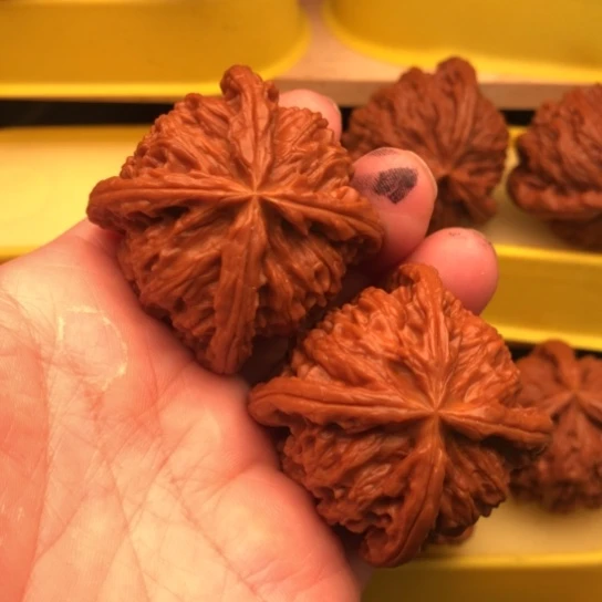 刚***子核桃核桃43826核桃