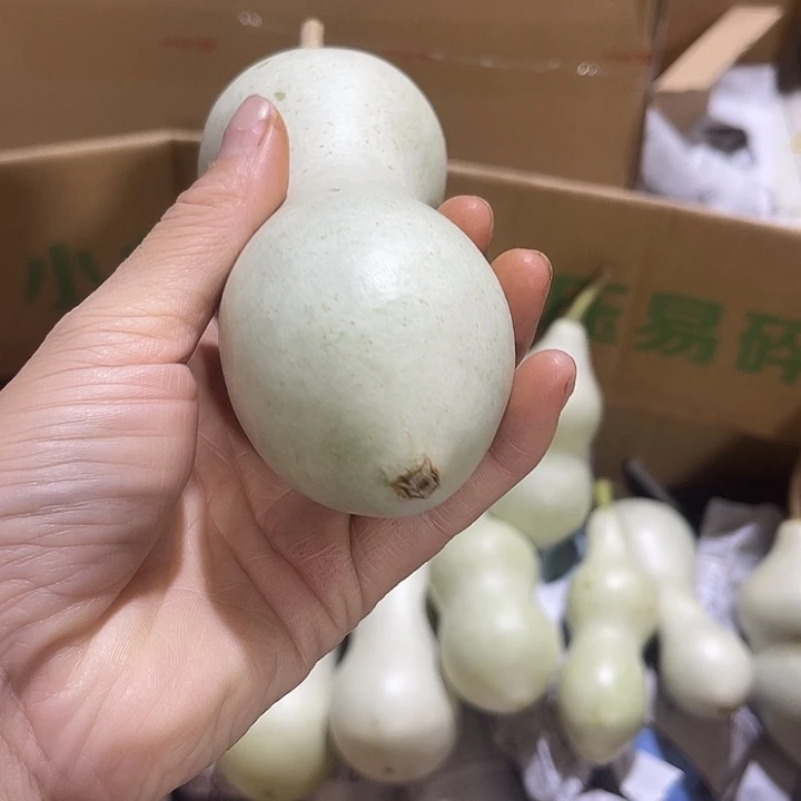 非洲紫檀（红花梨）金**世