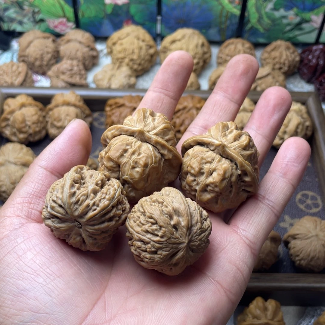 知***乐手串/手链核桃蛤蟆，粗筋