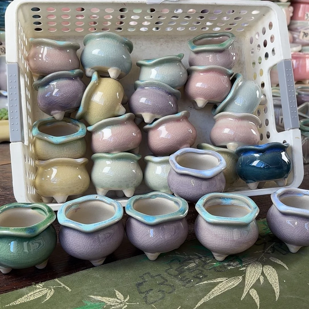 量货/口4高4深浅搭配发24