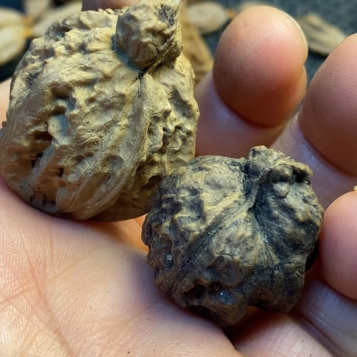 吊坠文玩核桃娜姐52