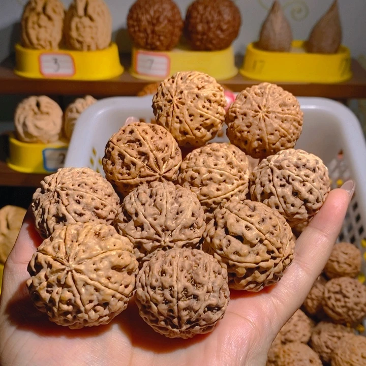 今***8野生多瓣大金刚把件