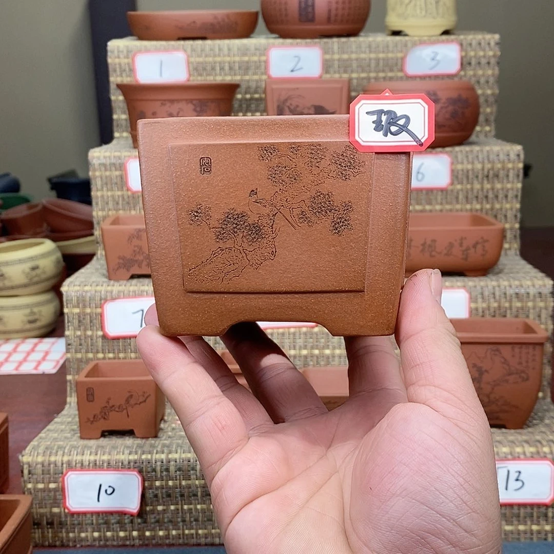 紫砂花盆我在等他