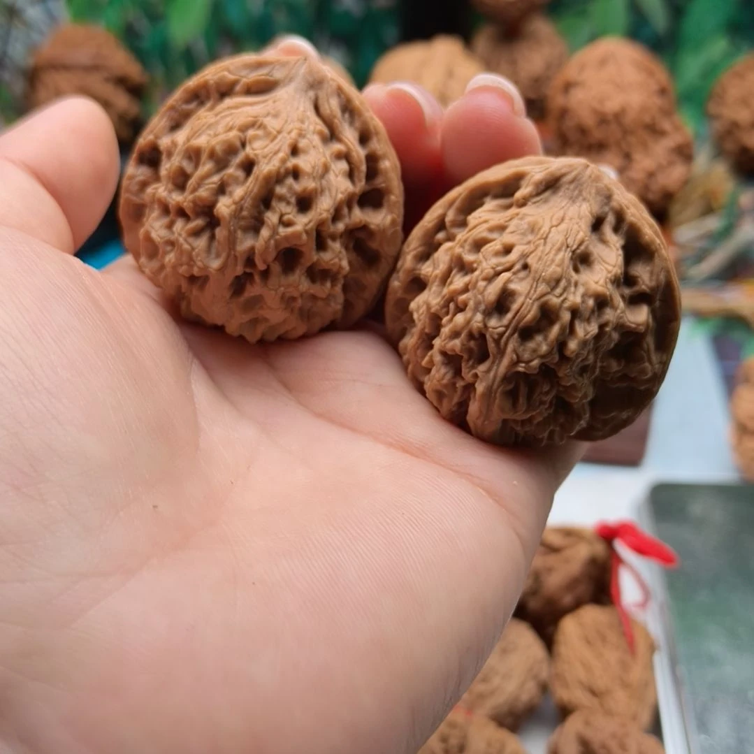 小*阳物美价廉物超所值