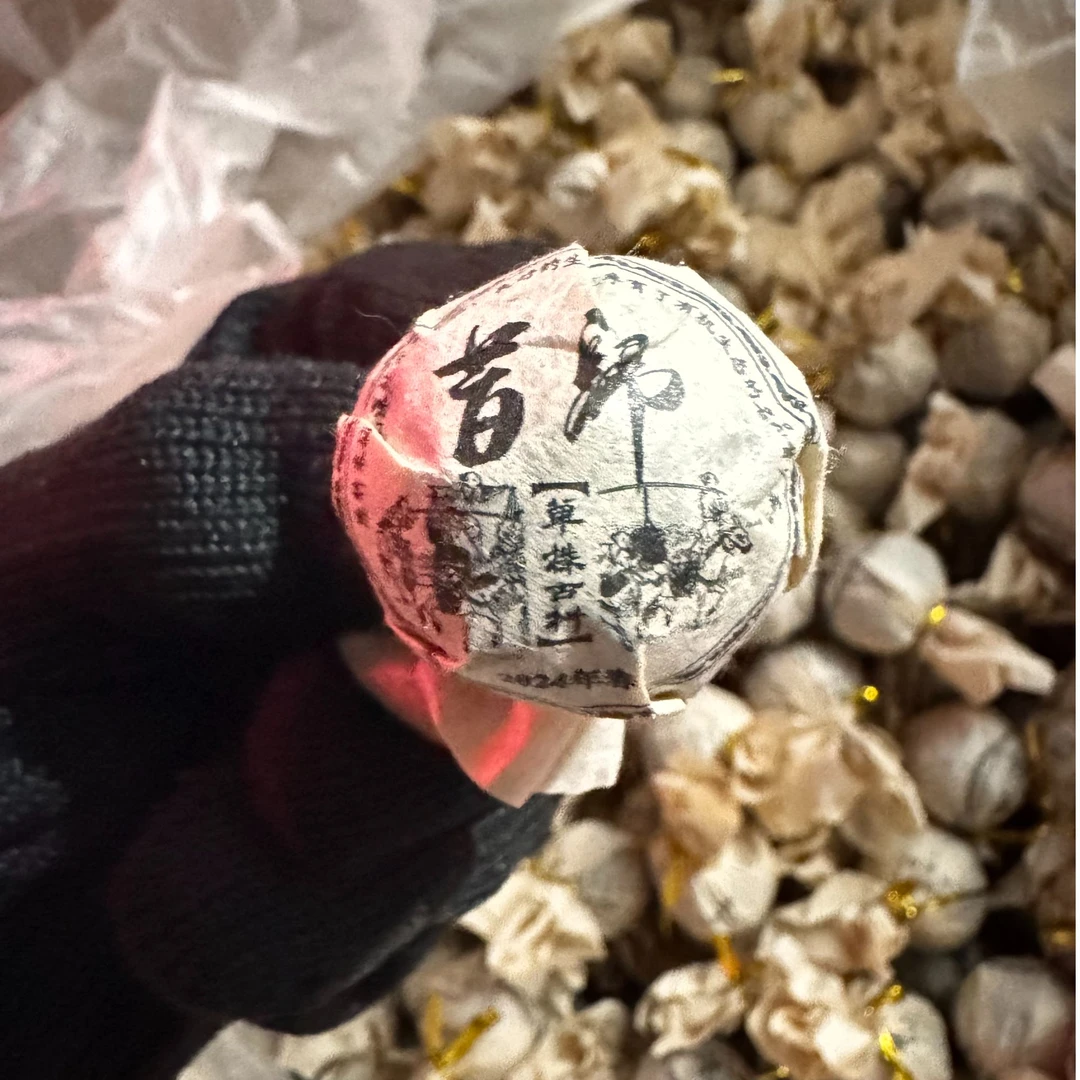 【李会长-临翔区茶叶产业联合会】2024年昔归龙珠生茶7g可试喝