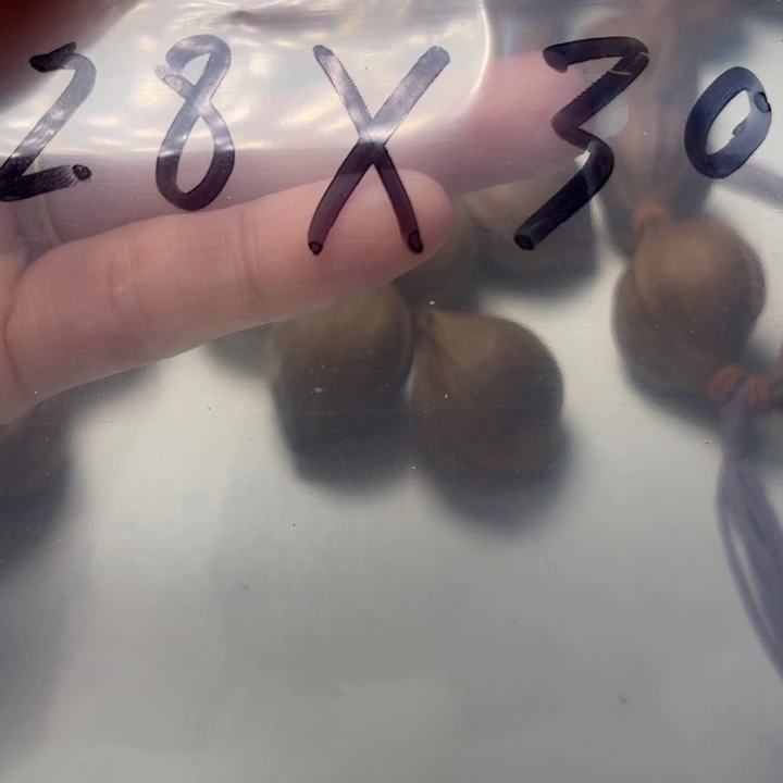 三***叶橄榄核手串/手链2.8