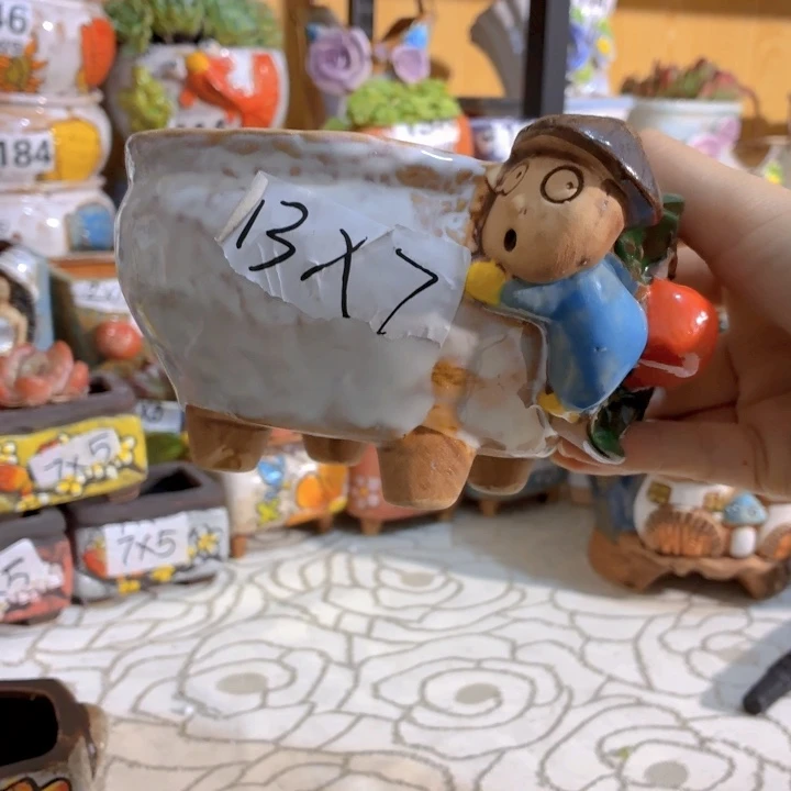 多肉花盆满15发，爱退款拉黑