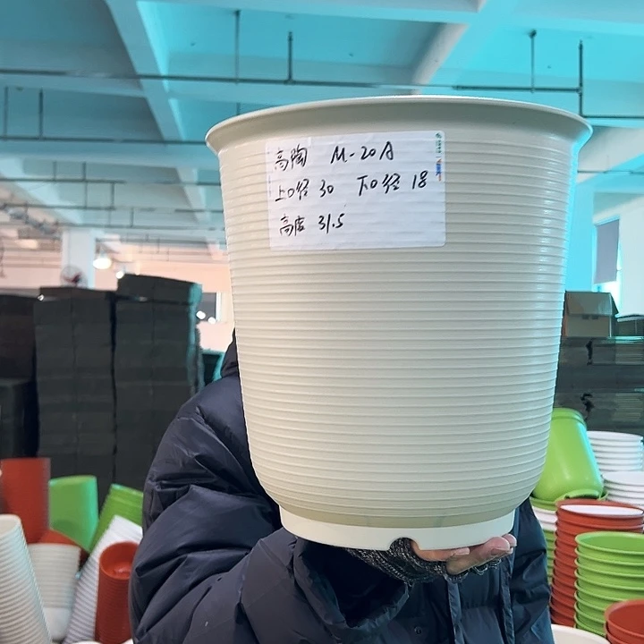 正品高陶口30高31米色无托3只