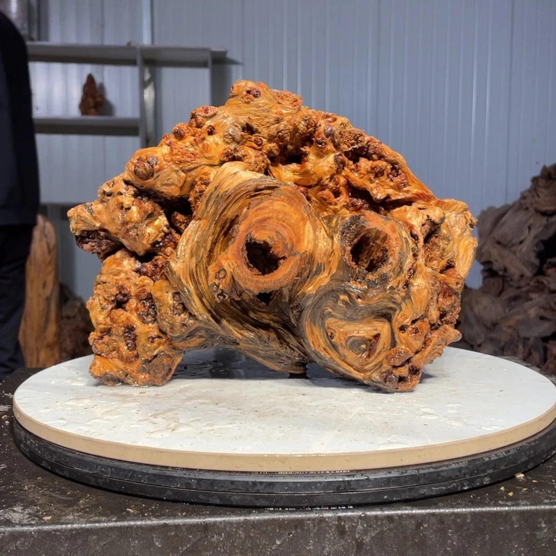 南***王木猛子琥珀木摆件77