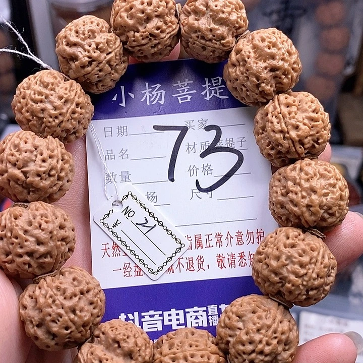 金刚菩提手串21铁骨双龙