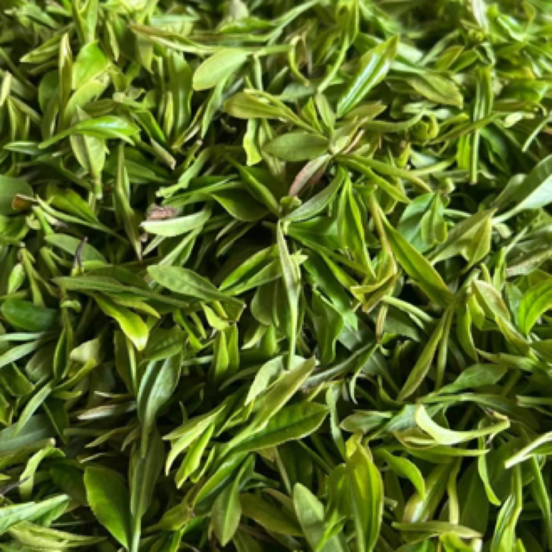 06照岚【露天春茶一芽一】2025年日照绿茶春茶嫩芽新茶豌豆香