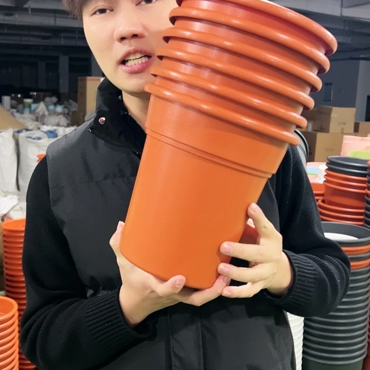 清仓翻边口21高22陶红色6支无托