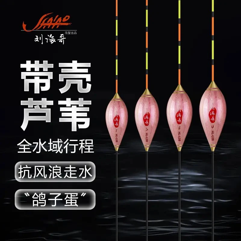 鸽子蛋浮漂刘海哥HL08