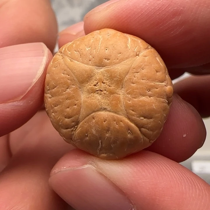 吊坠麒麟眼菩提21➕精品麒麟