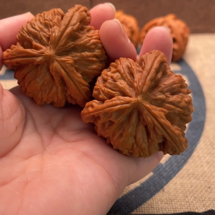 童***年核桃白狮子45核桃