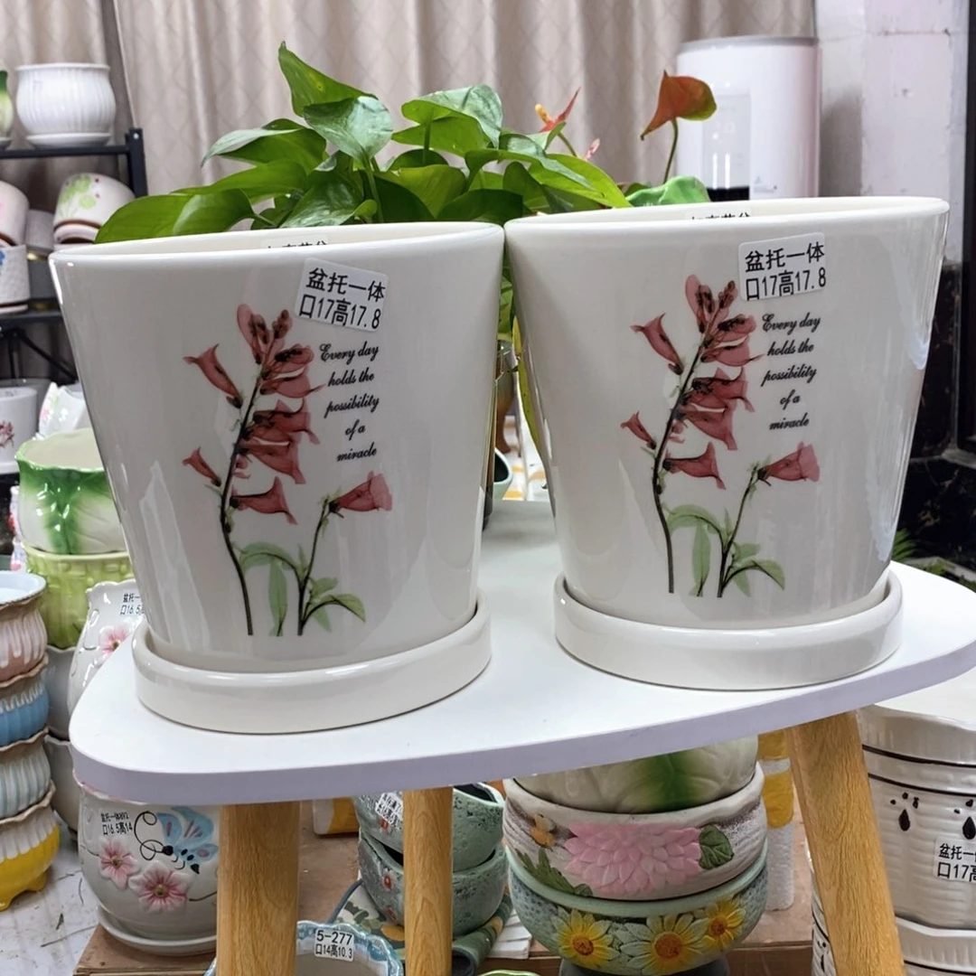 陶瓷@陶瓷花盆@@蝴蝶兰