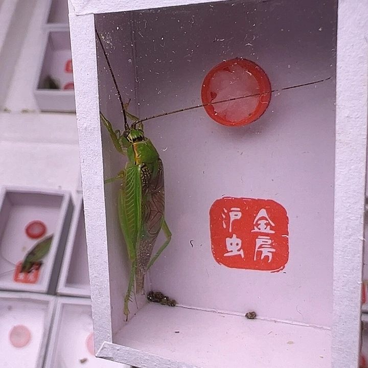 杨***大哈哈哈哈哈哈哈哈哈哈