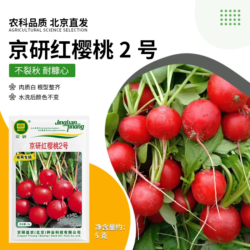 【农科院】樱桃萝卜种子四季蔬菜种子阳台盆栽小菜园简单易种