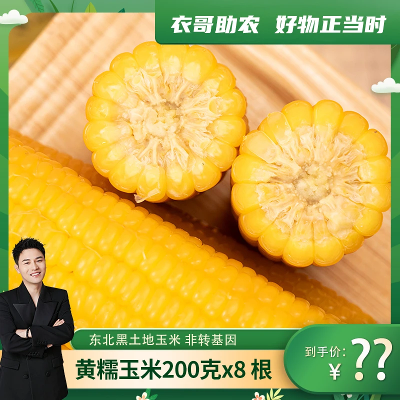 【衣哥代卖】锅圈黄糯玉米200克×8根 东北黑土地玉米 非转基因