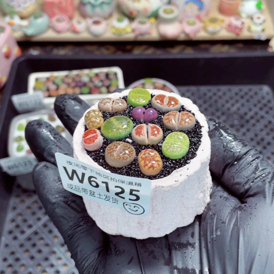 夜间零下地区拍保温箱w6125
