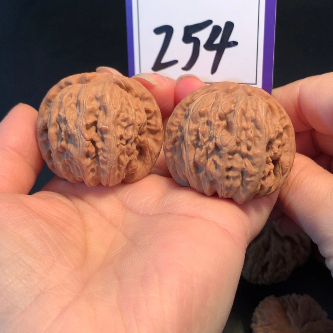 把件文玩核桃254白狮子4.1