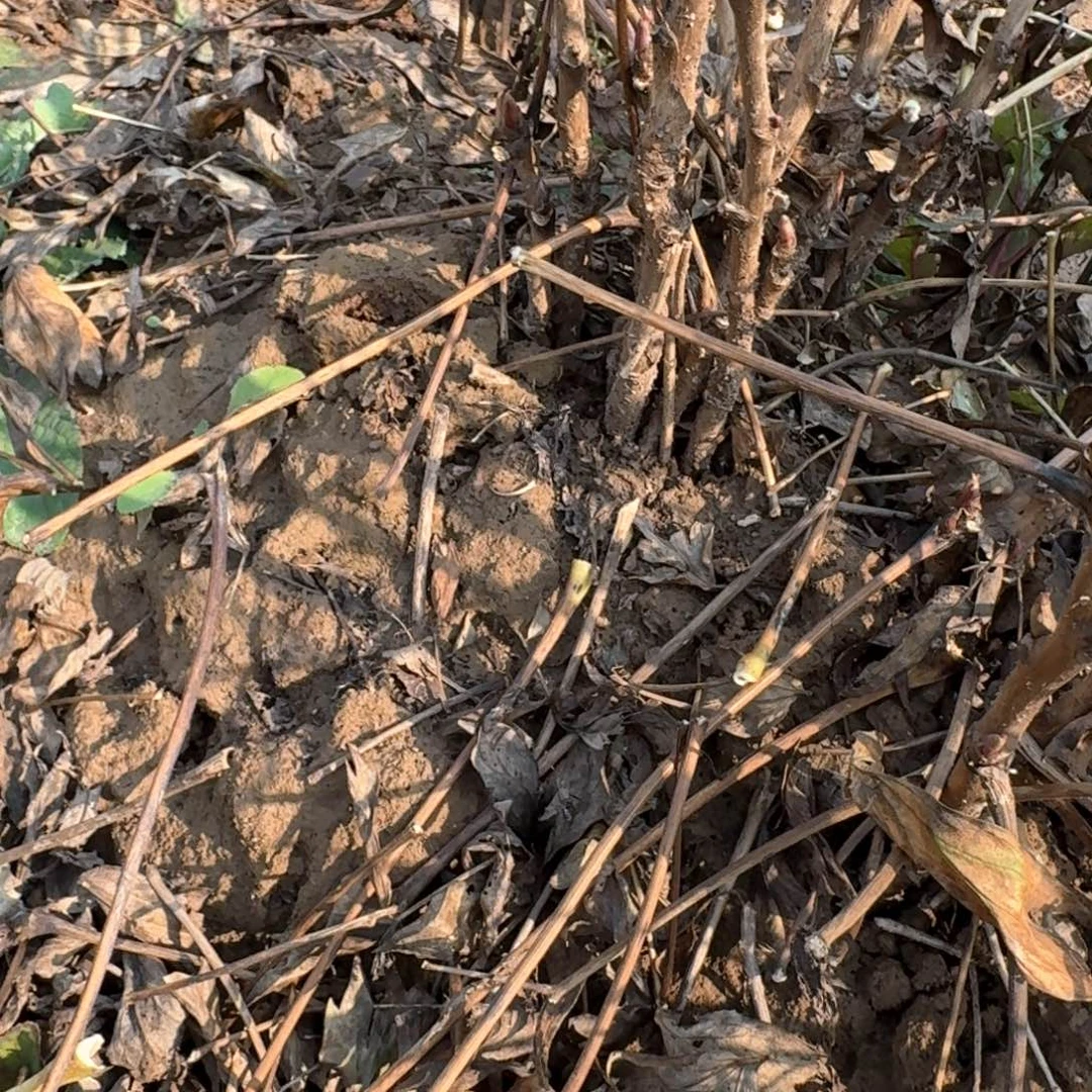 完全开放41111111111111