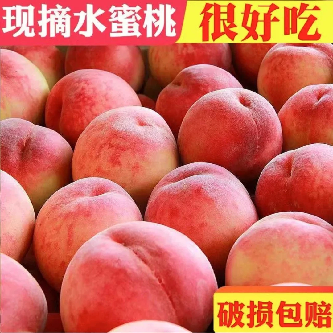 现摘脆甜水蜜桃整箱批发新鲜当季水果桃子新鲜脆桃脆桃大个